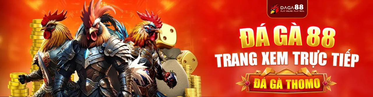 Hình ảnh chính sách quyền riêng tư mb6666 trang chủ chính thức