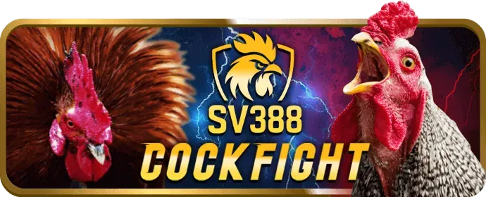 Quy trình đăng ký MB6666